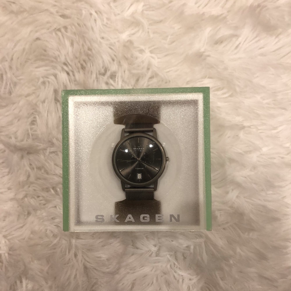 Skagen Titanium Watch